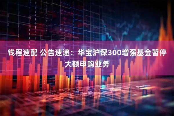 钱程速配 公告速递:华宝沪深300增强基金暂停大额申购业务